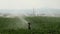 Irrigation sprinkler system is working in field. Close up. Agricultural activity