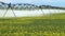 Irrigation Sprinklers and Canola crop