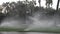 Irrigation sprinklers working on a green lawn with palm trees behind it