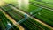 Irrigation system in action. An overhead view of a farm with a functioning modern irrigation system, showing the network