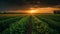 Irrigation system on agricultural soybean field Landscape Beautiful Sunset AI Generative