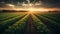 Irrigation system on agricultural soybean field Landscape Beautiful Sunset AI Generative