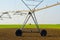 Irrigation system and combine harvesting green peas
