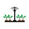 irrigation system or plant watering icon