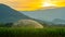 Irrigation system watering young green corn field in the agricultural garden by water springer at sunset