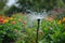 Irrigation systems such as drip irrigation, soaker hoses, and sprinkler placement based on plant types and water requirements