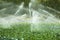 Irrigation systems in a vegetable garden