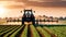 irrigation tractor driving spraying or harvesting an agricultural crop at sunset