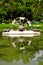 Irrigation waterwheel and reflection