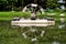 Irrigation waterwheel and reflection