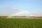 Irrigation on a wheat field