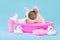 Isabella pied French Bulldog dog puppy in pink bathtub with rubber ducks