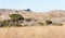 Isalo national park landscape canyon landmark in Madagascar