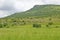 Isandlwana hill or Sphinx , the scene of the Anglo Zulu battle site of January 22, 1879. The great Battlefield of Isandlwana and