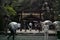 Ise, Japan - 27 6 19: People praying at a smaller shrine located on the Ise Jingu grounds