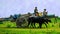 Ishwardi, Bangladesh - 10.10.2022: two big buffaloes are pulling cart with pipes, an old man and a teenager are sitting on top