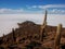 Isla de pescado cactus salar de uyuni in Bolivia