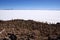 Isla del Pescado, Salar de Uyuni, Bolivia