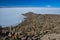 Isla Incahuasi (Pescadores), Salar de Uyuni, Bolivia