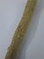 Islamic natural toothbrush Miswak or Siwak used by the Babylonians, Greek, ancient Egyptians and Muslims