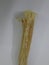 Islamic natural toothbrush Miswak or Siwak used by the Babylonians, Greek, ancient Egyptians and Muslims