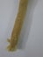 Islamic natural toothbrush Miswak or Siwak used by the Babylonians, Greek, ancient Egyptians and Muslims