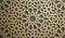 Islamic ornament vector , persian motiff . 3d ramadan islamic round pattern elements . Geometric circular ornamental