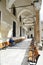 The Islamic Sacred Relics Hall in Topkapi Palace. Topkapi Palace is popular tourist attraction in the Turkey.