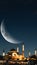 Islamic vertical photo. Suleymaniye Mosque with crescent moon