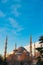 Islamic vertical photo. Sultanahmet or Blue Mosque at sunrise.