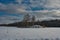 An island with birches in the middle of a snowy forest meadow.