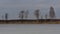 An island with birches and reeds on a lake with melting ice.