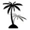 Island. Black silhouette of palm tree, with shadow on white back