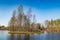 Island in the bog, golden marsh, lakes and nature environment. Sundown evening light in spring.