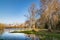 Island in the bog, golden marsh, lakes and nature environment. Sundown evening light in spring.