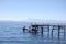 Island Dock with Andes View
