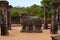Island Garden ruins, Polonnaruwa