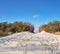 Island of Hiddensee, off the Baltic coast of Northern Germany, sandy entrance to the beach via seaside dunes