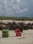 The island of langeoog in the german north sea