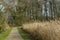 The island of langeoog in the german north sea