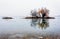 Island and mysterious afternoon fog over river. Little desert island with trees and fog.