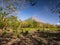 Island Ometepe in Nicaragua