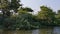 Island on the Tejo River, in Portugal, inhabited only by birds