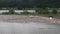 Island of trash and debris in flooded river