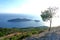 The island and the tree in Samos Greece