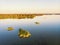 Islands of grass and reeds in the middle of a large calm lake, a sky with sunset evening light.