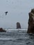 Islas Ballestas Islands pacific rock formation peruvian booby cormorants bird marine wildlife Paracas Peru South America