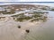 The Isle of Birds and its cabins on piloti in Arcachon bay