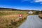 Isle of Skye Landscape. Lamb notice sign