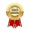 ISO 26000 standard rosette